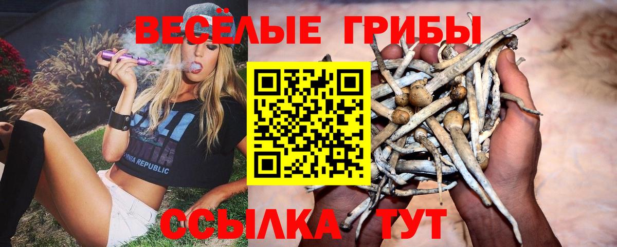 Галлюциногенные грибы GOLDEN TEACHER  Вход с VPN  Сыктывкар 