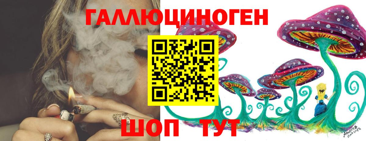 Псилоцибиновые грибы Cubensis Сыктывкар